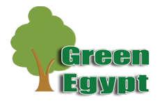Trusted Partner Logos
